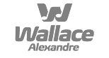 Wallace Alexandre — personal brand